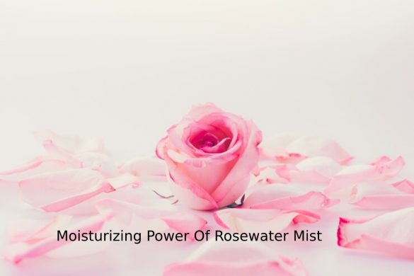 Moisturizing Power Of Rosewater Mist
