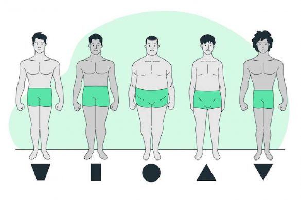 Body Types