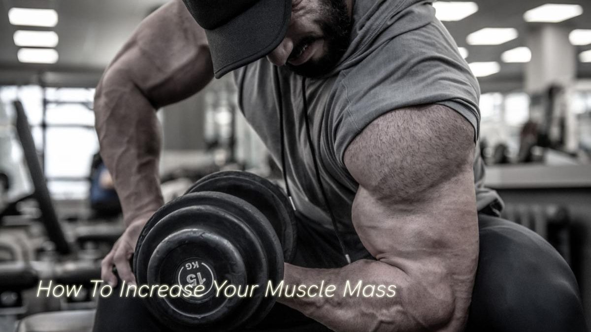 How To Increase Your Muscle Mass