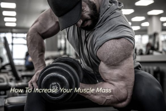 How To Increase Your Muscle Mass