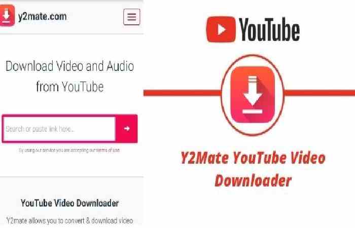 How to Download Free Fire Content Using Y2Mate.com?
