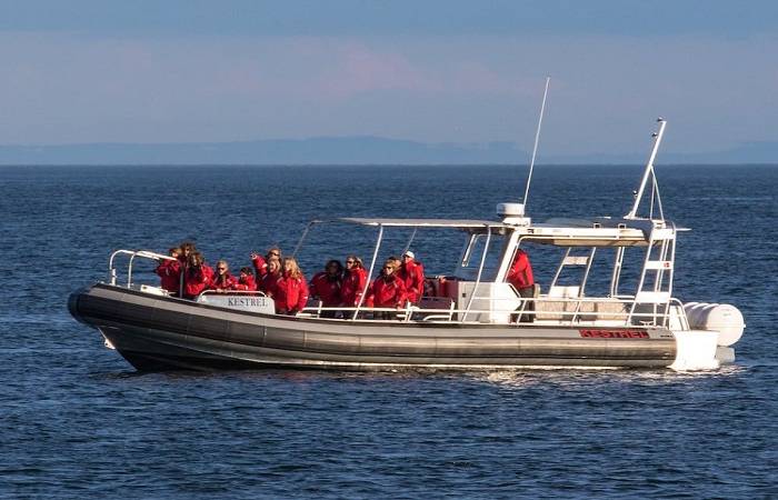 Boating And Wildlife Watching