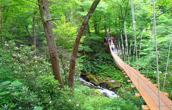 Sky Valley Zip Tours