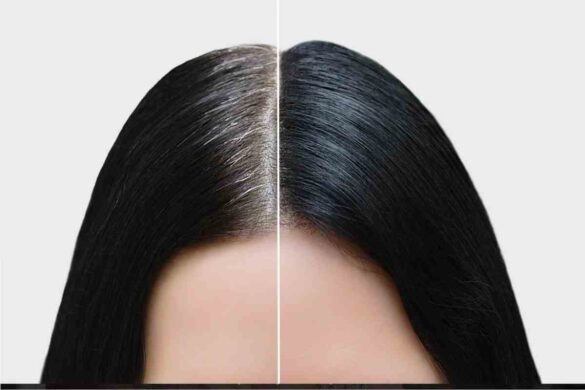 Wellhealthorganic.com How to Prevent White Hair Naturally