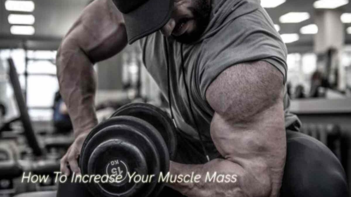 How To Increase Your Muscle Mass