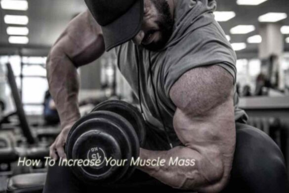 How To Increase Your Muscle Mass