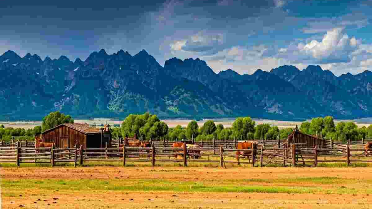 Yellowstone Season 6: Plot Details and Updates